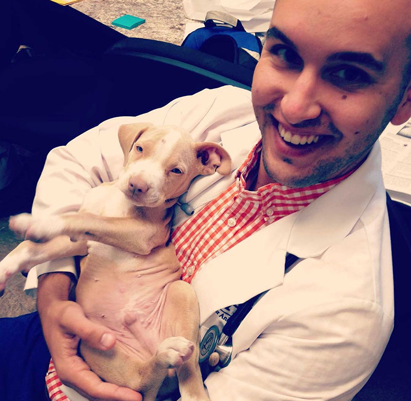 Puppies Vet in Parker Parker Center Animal Clinic