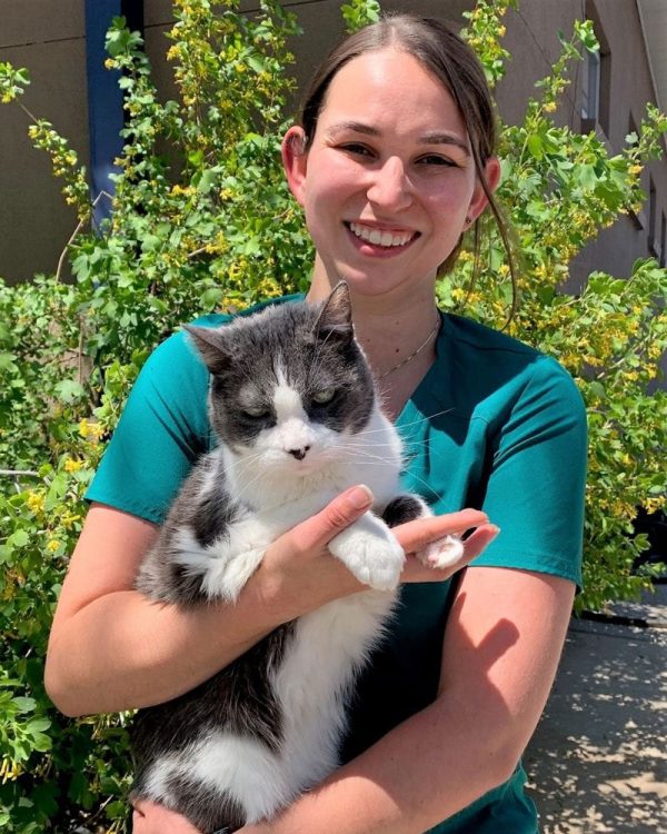 Cat Health Vet in Parker Parker Center Animal Clinic