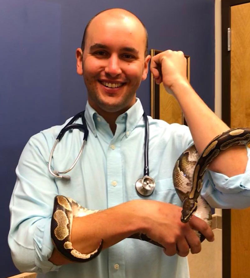 Veterinarian in Parker Vets Near Me Parker Center Animal Clinic