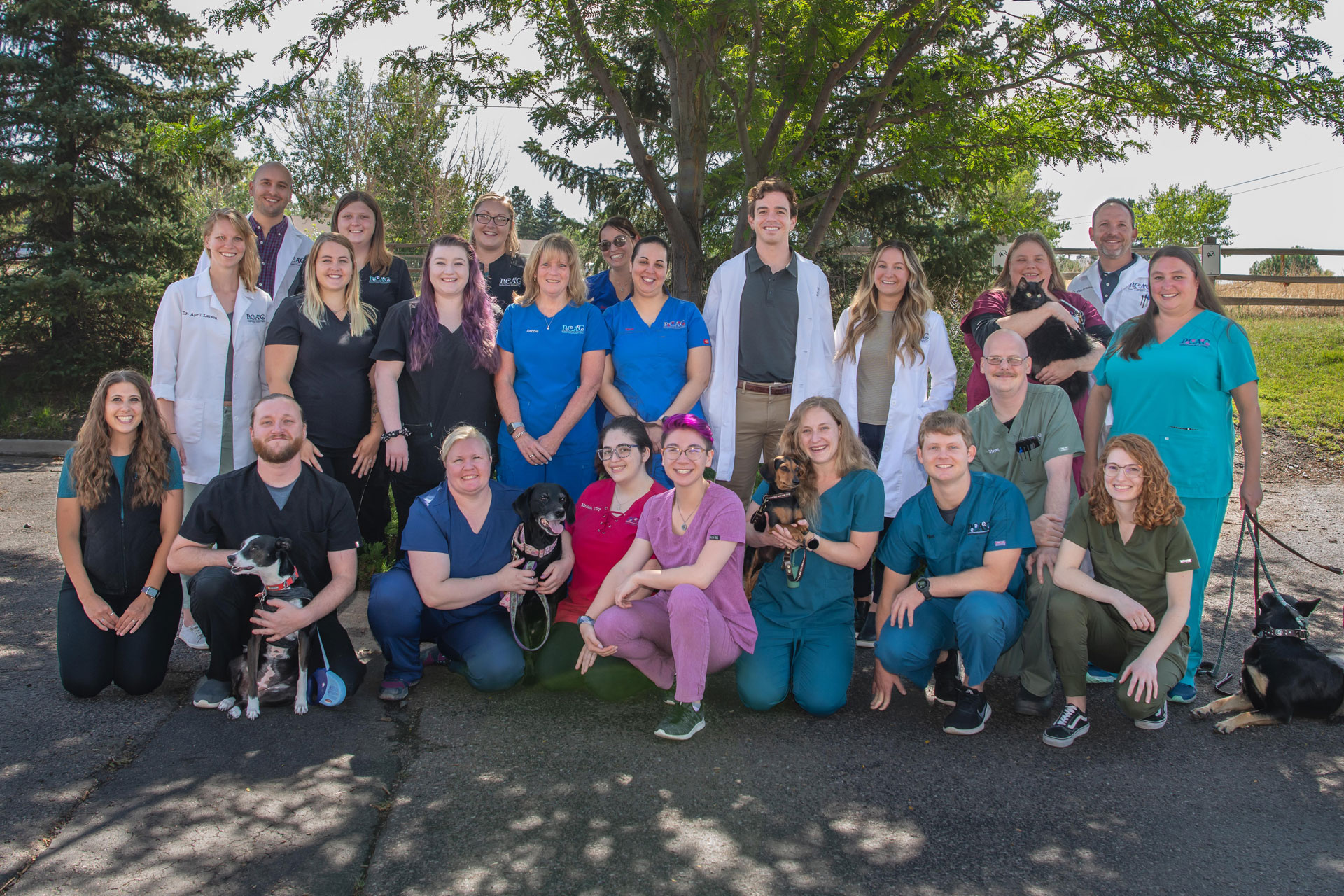Team Vet in Parker Parker Center Animal Clinic