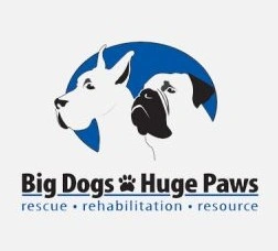 Big Dogs Huge Paws
