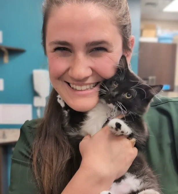 Feline Diseases We Screen for