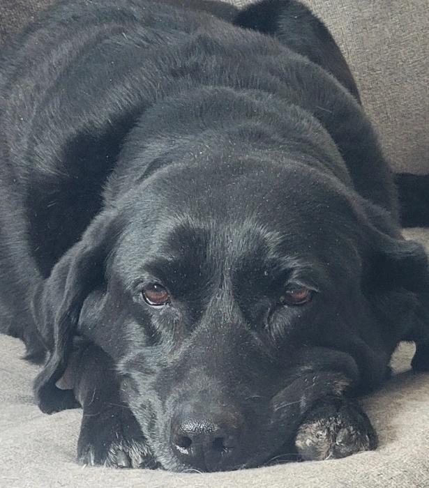 A Compassionate Guide to Your Visit