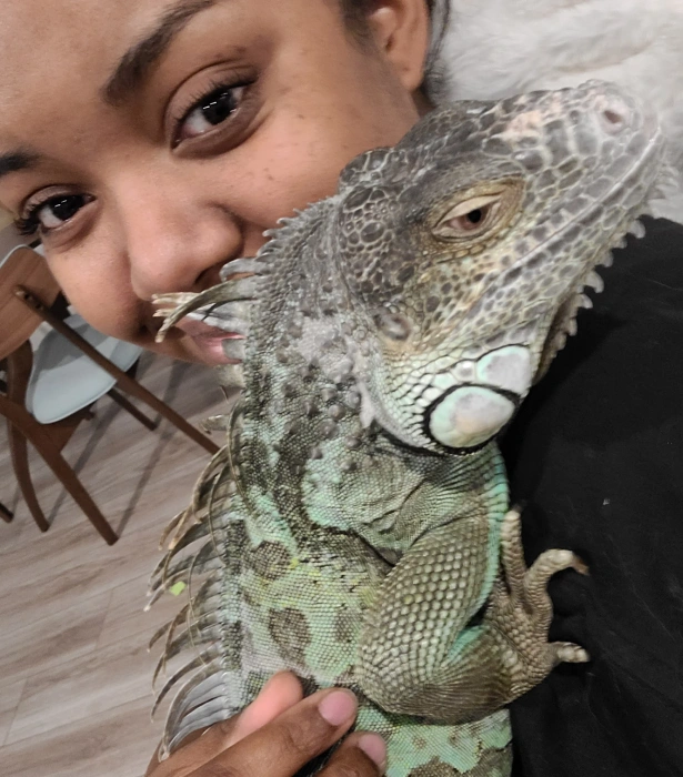 Qualifications as Exotic Pet Vets